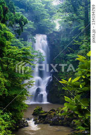 【秋田県_奈曽の白滝】轟音（ごうおん）をたてて迎える迫力と清涼感の白滝 134194769