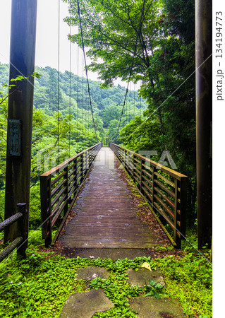 【秋田県_奈曽の白滝】轟音（ごうおん）をたてて迎える迫力と清涼感の白滝 134194773