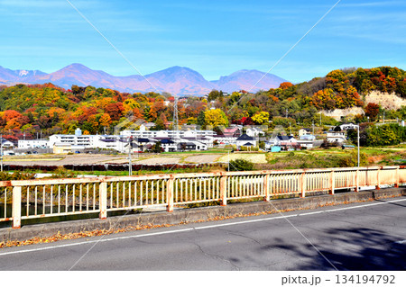 戻り橋／千曲川より城下団地周辺、懐古園方面を望む(長野県小諸市)【2025.11】 134194792