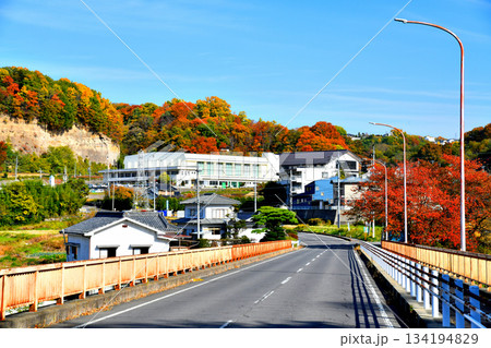 戻り橋/千曲川より総合体育館、武道館方面を望む(長野県小諸市)【2025.11】 戻り橋/千曲川より総合体育館、武道館方面を望む(長野県小諸市)【2025.11】 134194829
