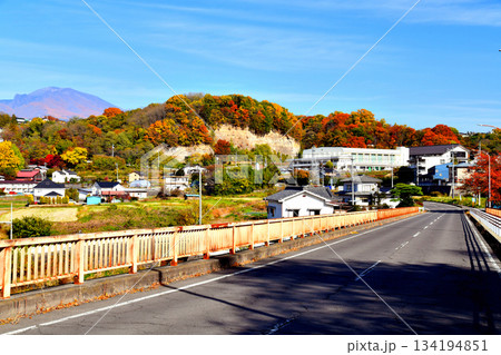 戻り橋／千曲川より総合体育館、武道館方面を望む(長野県小諸市)【2025.11】 134194851
