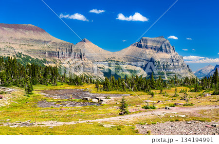 Going-to-the-Sun Mountain rises above small meltwater pond at Hidden Lake Pass in Glacier National Park, Montana. Scenic landscape features rocky peaks and green alpine meadow in UNESCO World Heritage 134194991