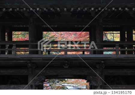 秋の四国霊場第88番札所「大窪寺」二天門と紅葉 秋の四国霊場第88番札所「大窪寺」二天門と紅葉 134195170