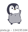 ペンギン_手を上げる 134195184