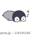 ペンギン_うつ伏せ寝 134195185