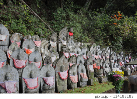 四国霊場第88番札所「大窪寺」、納経所から大師堂へ向かう道の山側にある新四国八十八ヶ所石仏 134195195