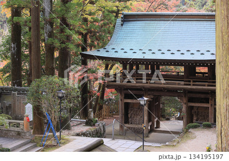 秋の四国霊場第88番札所「大窪寺」二天門と紅葉 134195197