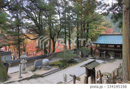 秋の四国霊場第88番札所「大窪寺」二天門と紅葉 134195198