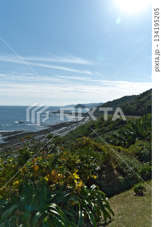 宮崎県宮崎市の日南海岸 宮崎県宮崎市の日南海岸 134195205