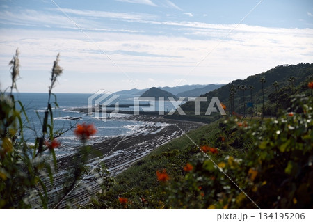 宮崎県宮崎市の日南海岸 134195206