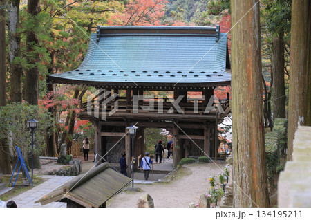 秋の四国霊場第88番札所「大窪寺」二天門と紅葉 134195211
