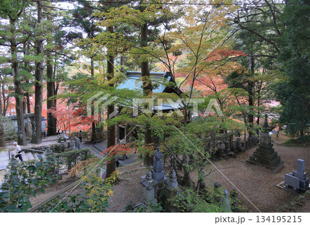秋の四国霊場第88番札所「大窪寺」二天門付近の紅葉 134195215