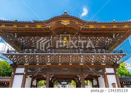 千葉県成田市 成田山新勝寺 総門 千葉県成田市 成田山新勝寺 総門 134195219