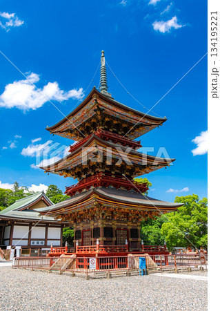 千葉県成田市 成田山新勝寺 三重塔 千葉県成田市 成田山新勝寺 三重塔 134195221