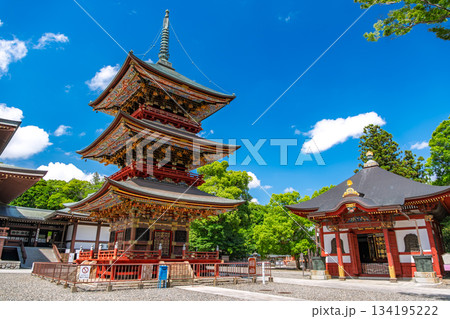 千葉県成田市 成田山新勝寺 三重塔と一切経堂 千葉県成田市 成田山新勝寺 三重塔と一切経堂 134195222