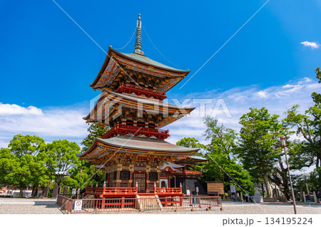 千葉県成田市 成田山新勝寺 三重塔 134195224