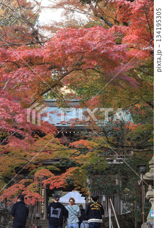 秋の四国霊場第88番札所「大窪寺」二天門前の紅葉 秋の四国霊場第88番札所「大窪寺」二天門前の紅葉 134195305