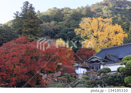 秋の四国霊場第88番札所「大窪寺」本坊前の紅葉 134195310