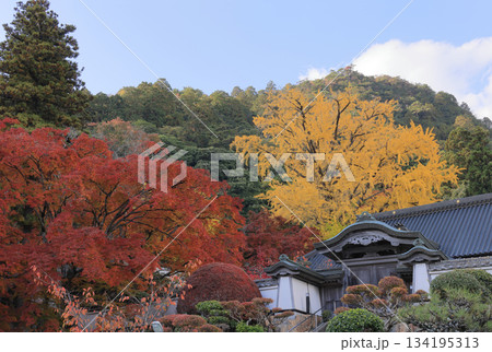 秋の四国霊場第88番札所「大窪寺」本坊と紅葉 134195313