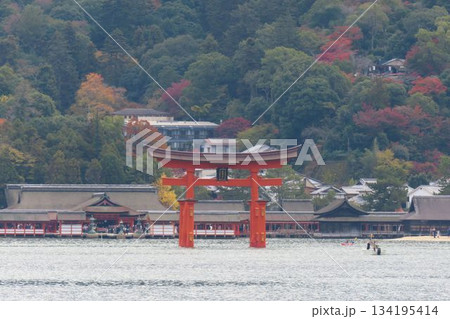 宮島沖から見る厳島神社の大鳥居 宮島沖から見る厳島神社の大鳥居 134195414