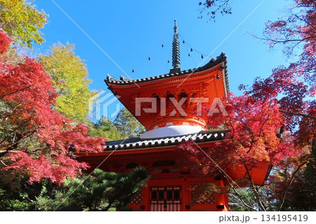 三瀧寺（三瀧観音）の多宝塔 134195419