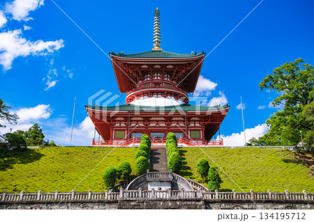 千葉県成田市 成田山新勝寺 平和大塔 134195712