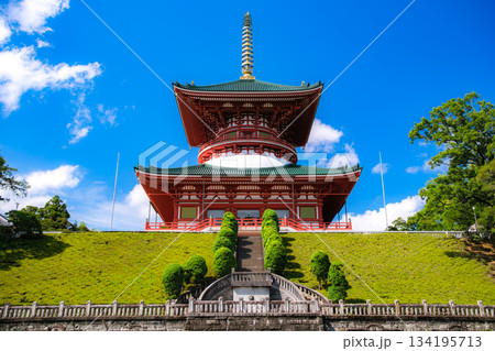 千葉県成田市 成田山新勝寺 平和大塔 千葉県成田市 成田山新勝寺 平和大塔 134195713