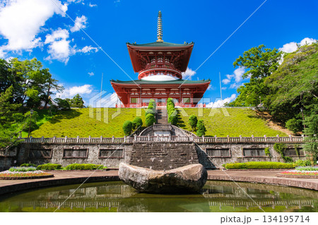 千葉県成田市 成田山新勝寺 平和大塔 134195714