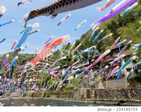 春の杖立温泉　杖立川の上空に泳ぐ鯉のぼり　（熊本県小国町） 134195733