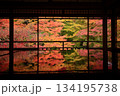 瑠璃光院の紅葉 134195738