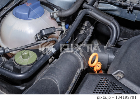 Car coolant reservoir and parts of the engine compartment Car coolant reservoir and parts of the engine compartment 134195781