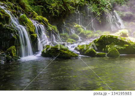 【秋田県_元滝伏流水】鳥海山が生む伏流水が作り出した川霧　夏　7月 134195983