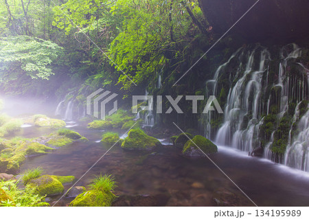【秋田県_元滝伏流水】鳥海山が生む伏流水が作り出した川霧　夏　7月 134195989