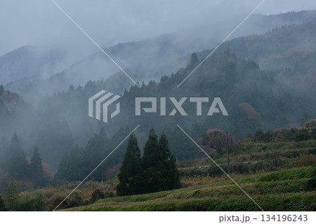 霧に包まれた棚田と里山の晩秋風景 雨に煙る静かな日本の里 霧に包まれた棚田と里山の晩秋風景 雨に煙る静かな日本の里 134196243