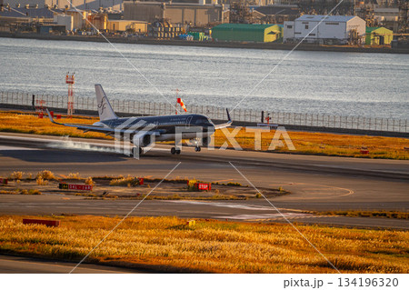 【東京都】羽田空港　旅客機の着陸 134196320
