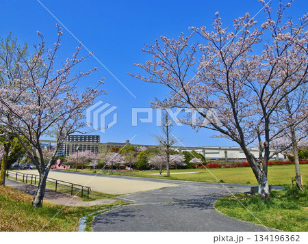 北九州市小倉南区にあるモノレールが見える志井公園 134196362