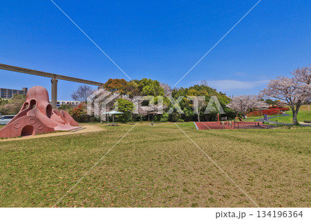 福岡県北九州市のモノレールが見える春の志井公園 福岡県北九州市のモノレールが見える春の志井公園 134196364