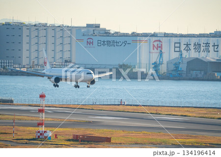 【東京都】羽田空港の風景 着陸姿勢に入った旅客機 【東京都】羽田空港の風景 着陸姿勢に入った旅客機 134196414