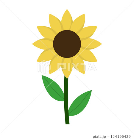 Simple Sunflower Vector Illustration. Perfect for educational materials, childrens projects, stickers, print on demand products, greeting cards, and nature themed graphics. Simple Sunflower Vector Illustration. Perfect for educational materials, childrens projects, stickers, print on demand products, greeting cards, and nature themed graphics. 134196429