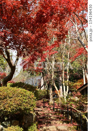 石道寺 階段と紅葉 石道寺 階段と紅葉 134196430