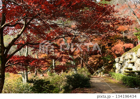 石道寺 紅葉 石道寺 紅葉 134196434
