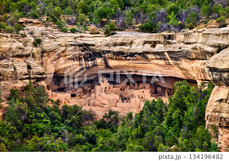 Cliff Palace ruins sit under massive rock overhang in Mesa Verde National Park, Colorado, USA. Ancient Ancestral Puebloan cliff dwelling features multi-story stone buildings and kivas in UNESCO World 134196482