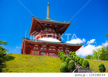 千葉県成田市 成田山新勝寺 平和大塔 千葉県成田市 成田山新勝寺 平和大塔 134196534