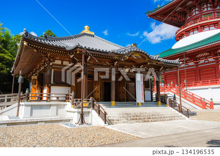 千葉県成田市 成田山新勝寺 醫王殿 134196535