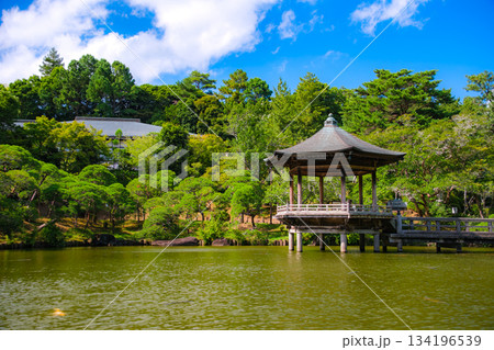 千葉県成田市 成田山公園の浮御堂と新緑の竜智の池 134196539