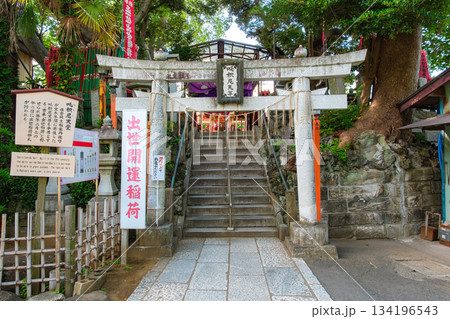 千葉県成田市 新緑の成田山新勝寺 出世稲荷 134196543