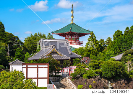 千葉県成田市 新緑の成田山新勝寺 高台から望む平和大塔と光明堂 千葉県成田市 新緑の成田山新勝寺 高台から望む平和大塔と光明堂 134196544