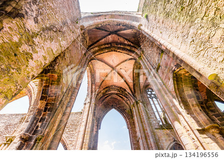 Saint Mathieu abbey, plougonvelin, finistere, brittany, france 134196556