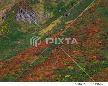 【宮城県】秋の栗駒山_神の絨毯_05 134196670
