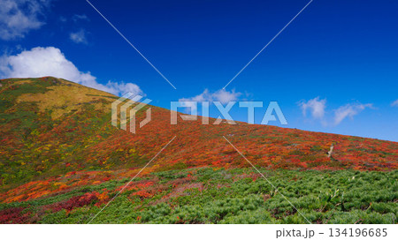 【宮城県】秋の栗駒山_神の絨毯_18 134196685